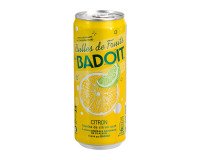 Sprudelwasser Badoit Fruchtblasen Bio Zitrone, Limette 33 cl - 24 Flaschen