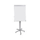 Paperboard - chevalet mobile acier laqué Bi-Office Earth