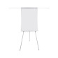 Paperboard - chevalet de conférence acier laqué bras extensibles trépied Bi Office Earth-it