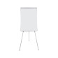 <div>Earth Bi-Office fixed conference easel.</div>