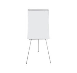 Earth Bi-Office fixed conference easel.