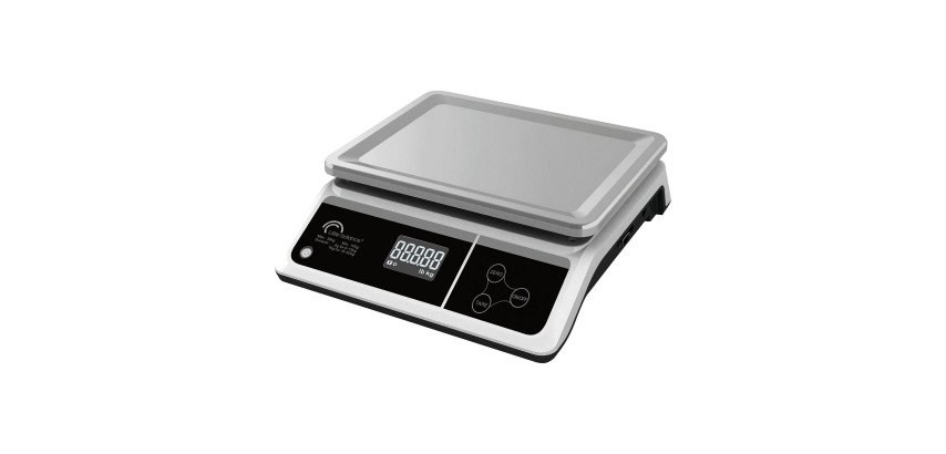 Pèse lettres et colis électronique LITTLE BALANCE LBP PRO 50 kg