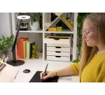 Module de classement Durable Varicolor® 5 tiroirs