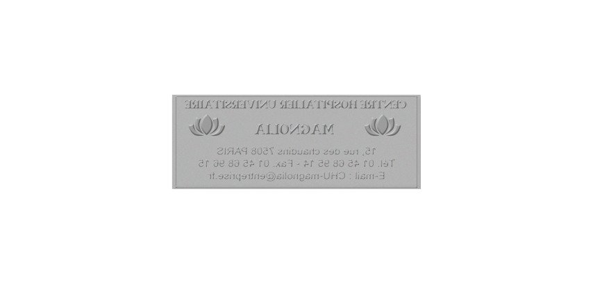 Plaque 58 X 22MM pour tampon Trodat 4913 réf PL 4913