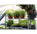 Durable Busta impermeabile A5 con fascette - Confezione da 5