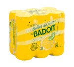 Eau gazeuse Badoit Bulles de fruits Bio citron,citron vert 33 cl - 24 bouteilles