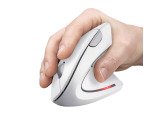 Souris sans fil Trust Verto blanche