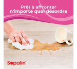 Essuie-tout Sopalin Power - Paquet de 3 rouleaux
