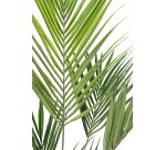 Plante artificielle d'intérieur Kentia + pot