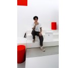 Destructeur IDEAL SHREDCAT 8200 - coupe croisée