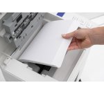 Destructeur IDEAL SHREDCAT 8292- coupe croisée