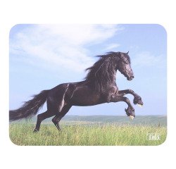 Mouse pad T'nB illustrated horse