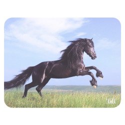 Mouse pad T'nB illustrated horse