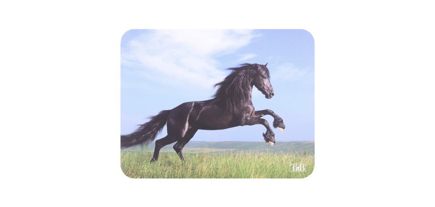 Tapis de souris T'nB illustré cheval
