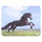 Mouse pad T'nB illustrated horse