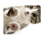 Tapis de souris T'nB illustré chat