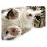 Tapis de souris T'nB illustré chat