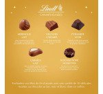 Boîte de chocolat Champs Élysées Édition Or - Lindt - Boîte de 237 g