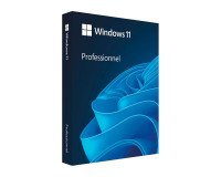 Windows 11 Pro version boîte (clé USB) - licence complète pour 1 poste