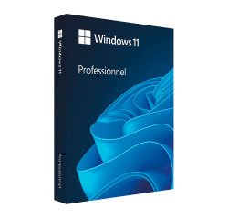 Windows 11 Pro version boîte (clé USB) - licence complète pour 1 poste