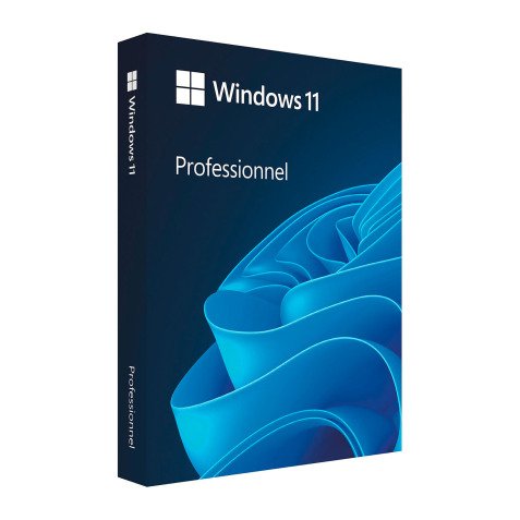 Windows 11 Pro version boîte (clé USB) - licence complète pour 1 poste