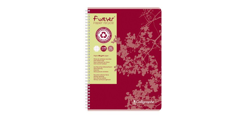 Cahier recyclé spirale Clairefontaine Forever A4 21 x 29,7 cm - petits carreaux 100 pages