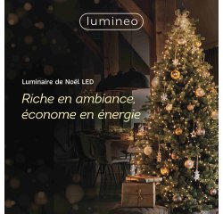 Guirlande lumineuse LED multicouleur - L. 11m - 500 LED