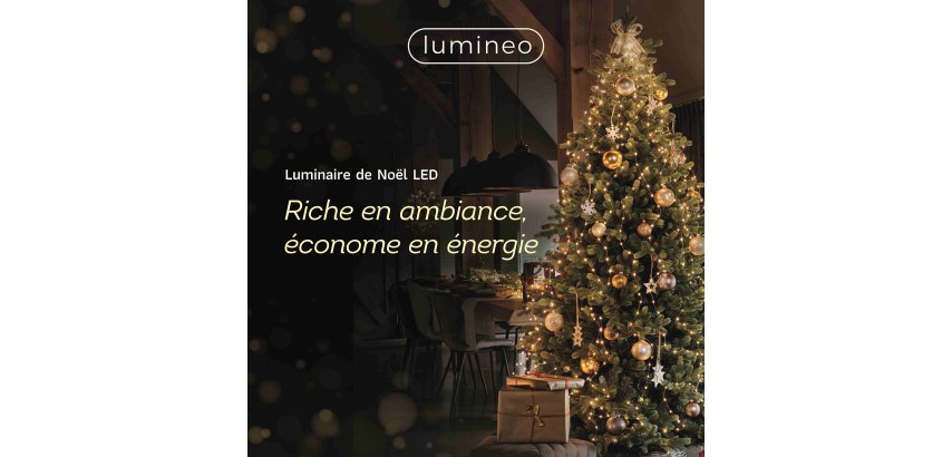 Guirlande lumineuse LED multicouleur - L. 11m - 500 LED