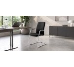 Sedia su slitta UNISIT Lithium LTLTA/LN King L PPL nero