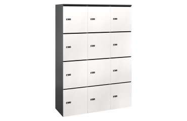 Casillero Flexycaz carbón 3 columnas x 4 compartimentos - An 120 x Fon 42 x Alt 173,5 cm - 12 puertas individuales