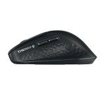 Souris sans fil rechargeable Cherry Stream Ultimate