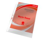 Buste a perforazione Universale Esselte Office 22 x 30 cm trasparente polipropilene finitura liscia lucida spessore medio 100 unità