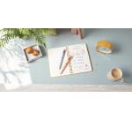 Stylo bille 4 couleurs 3+1 HB BIC Recyclé rétractable – Pointe 1 mm – Écriture moyenne – Boîte de 12