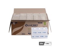 Papier essuie-mains pliage enchevêtré Lucart EcoNatural  V2 – Carton de 3800