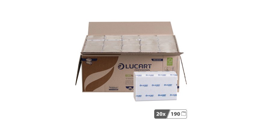 Papier essuie-mains pliage enchevêtré Lucart EcoNatural  V2 – Carton de 3800