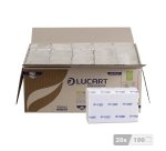 Paper hand towels Lucart Ecological intertwined - cardboard of 3800