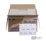 Paper handkerchiefs Lucart Econatural intertwined - box of 3000
