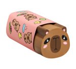 Gomme Bic Vibbies