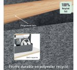 Draagbare bureau-organizer Leitz met handvat – 2 compartimenten