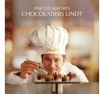 Assortiment de chocolats Champs-Élysées Lindt Édition Enneigée - Boîte de 395 g