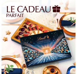 Assortiment de chocolats Champs-Élysées Lindt Édition Enneigée - Boîte de 395 g