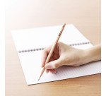 Tombow Ki-Monogatari Bleistift HB - Schachtel mit 12 Stück