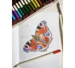 Tombow IROJITEN Colored Pencils Volume 2 Vivid Tone I – Set of 10