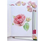 Tombow IROJITEN Colored Pencils Volume 7 Fluorescence I – Set of 10