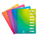 Trieur plastique Oxford School Fusion 8 divisions couleurs translucides assorties