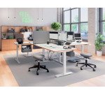 Divisorio per scrivania regolabile in altezza, 70 x 80 cm Leitz