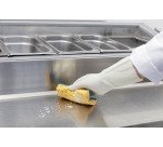 Eponge basic grattante Spontex Professional grand format - Paquet de 10