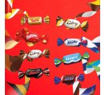 Assortiment de chocolats Célébrations - Boîte 385 g