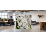 Textil Raumteiler 200-150 Doppel Weiße Blume Spirea