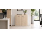 Low height office cabinet with swinging doors H 75.5 x W 80 x D 45 cm Squadra